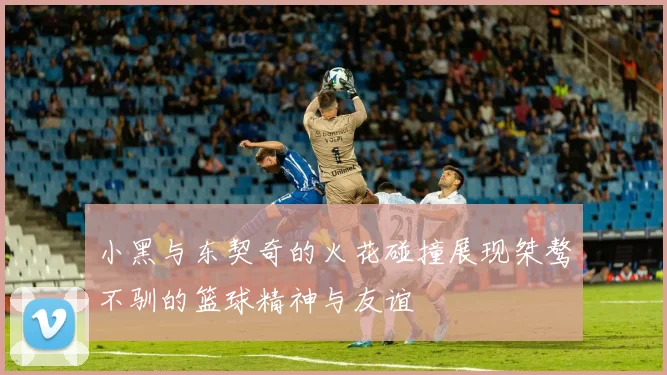 小黑与东契奇的火花碰撞展现桀骜不驯的篮球精神与友谊